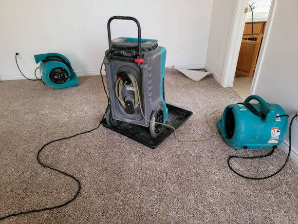 Best 24/7 water damage repair  in Penns Grove, NJ