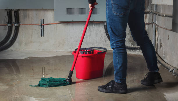 Best Water damage contractors near me  in Penns Grove, NJ