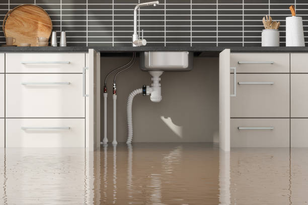 Best Sewage cleanup and water damage restoration  in Penns Grove, NJ